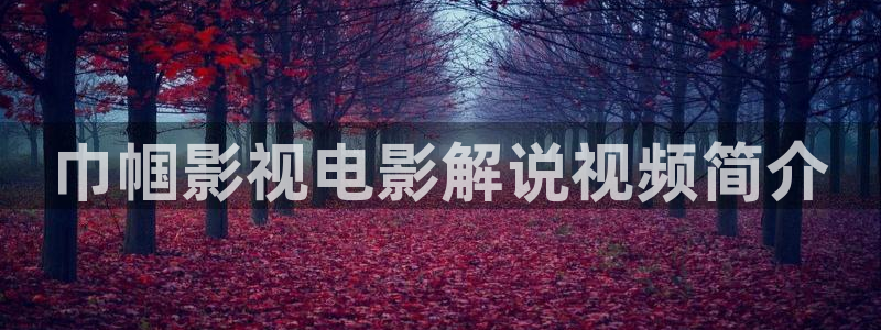 精灵梦叶罗丽星辰影院
