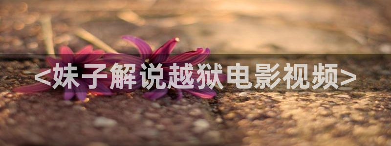 诱人的飞行星辰影院