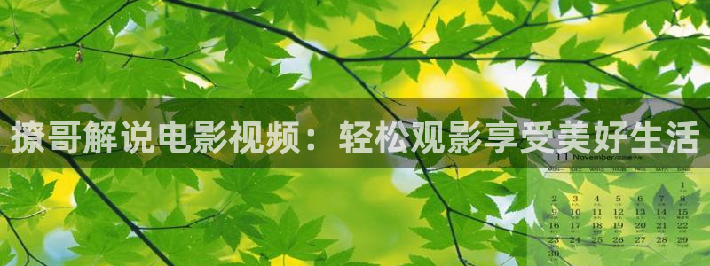 北京星辰合力影视公司