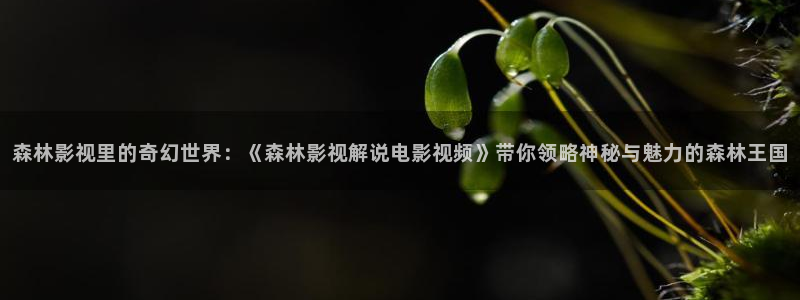 星辰影院2024年最新电视剧推荐