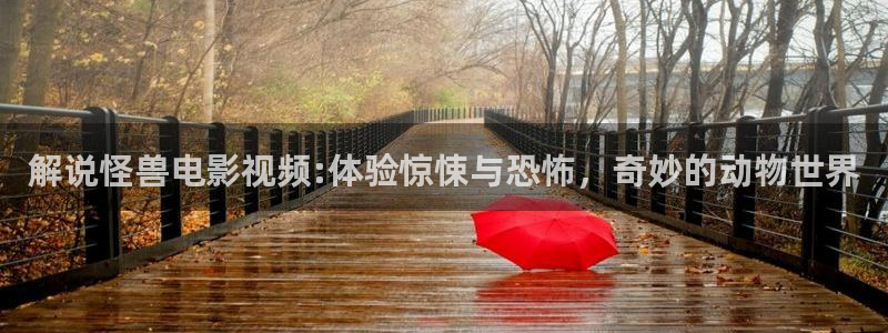 星辰影院电影完整版在线免费观看