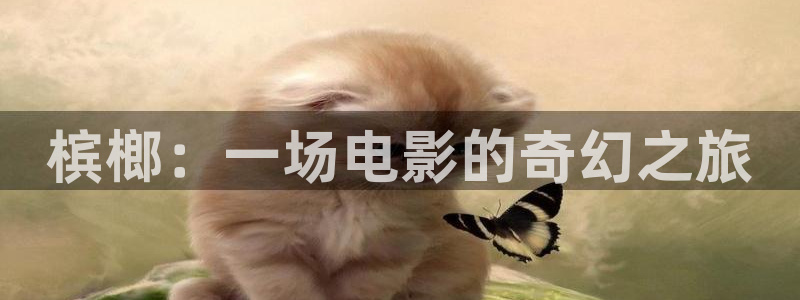 难哄电视剧免费观看全集星辰影院