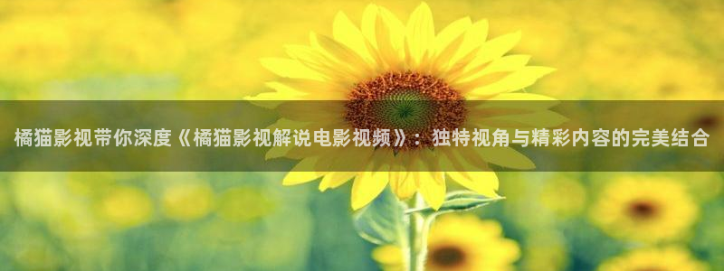 小马宝莉星辰影院