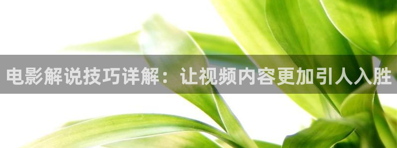 星辰影院最新最全电视剧电影