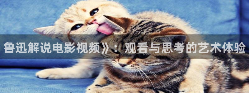 冰雨火40集剧情免费观看星辰影视
