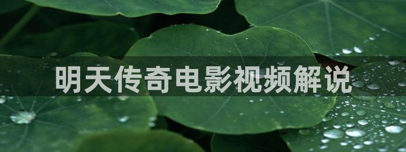 北京星辰合力影视公司