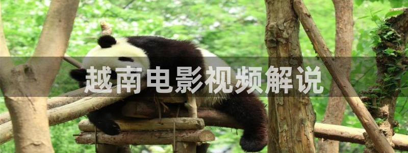 星辰影院电视剧免费观看完整版