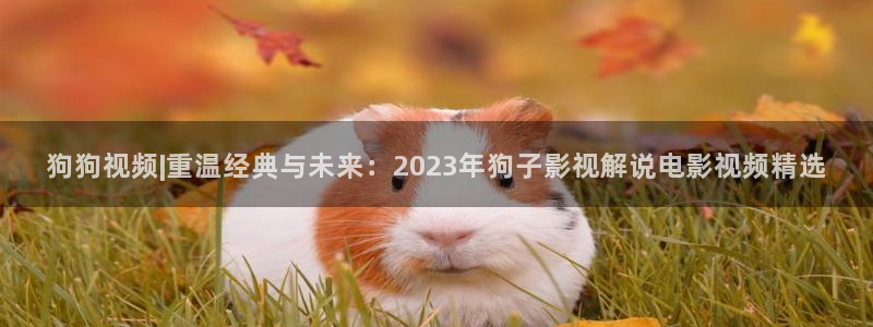 星辰影视传家