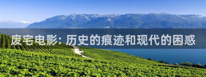 动漫在线观看星辰影院：废宅电影: 历史的痕迹和现代的困惑