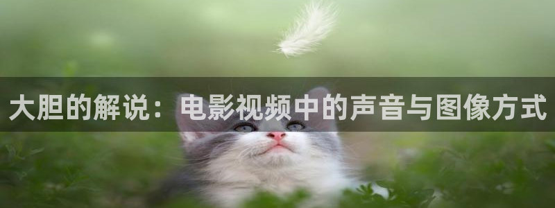 《士兵突击》星辰影院：大胆的解说：电影视频中的声音与图像方式