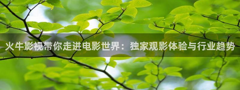 大侦探拾光季星辰影院在线观看